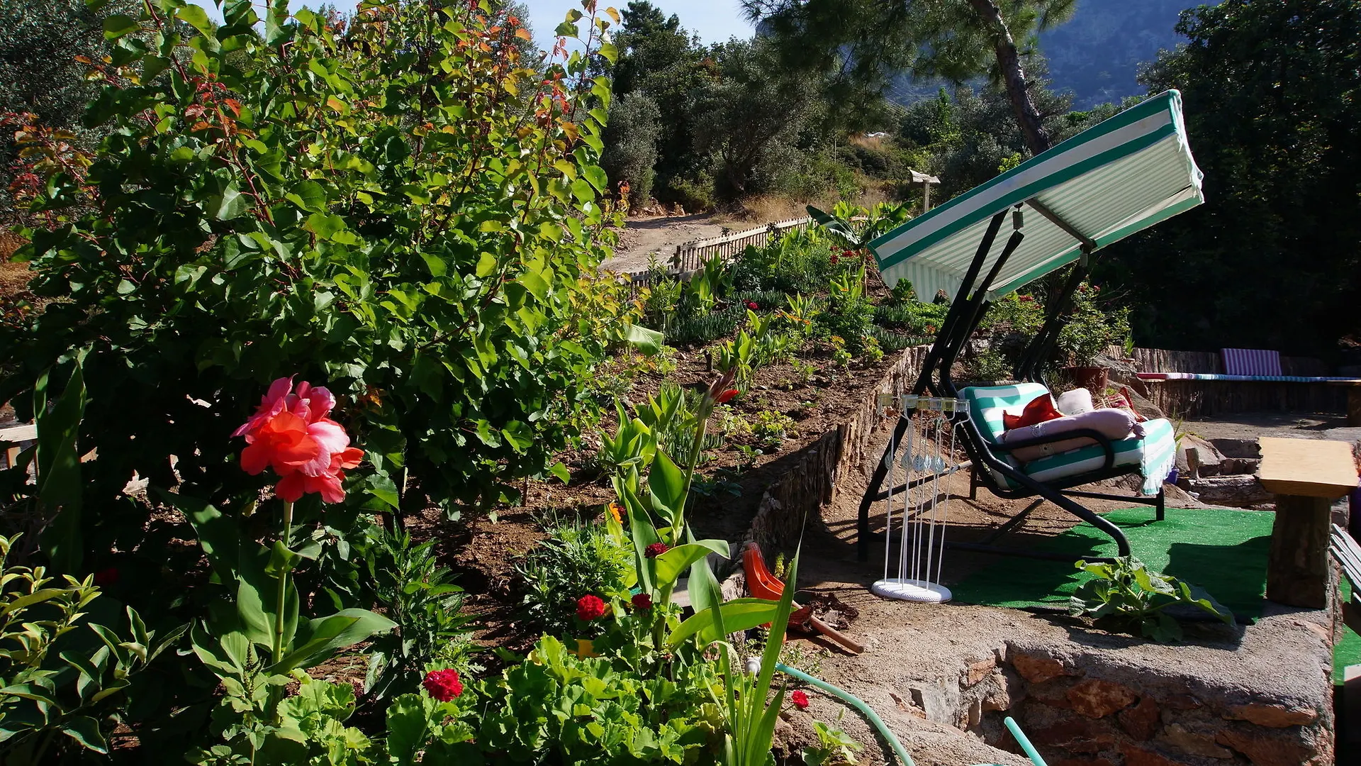 Shiva Camp Hotel Faralya 3*,  Turcia